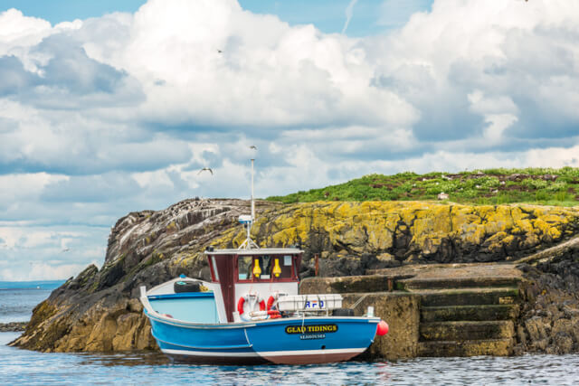 A boat docked alongside the colourful rocks at the Farne Islands
