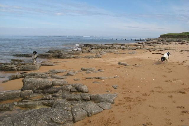A view across the rocks and sand as Longhoughton Beach