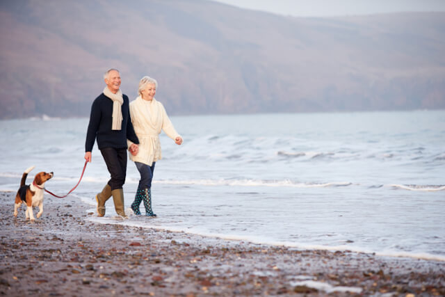 An older couple walking a beagle dog along the beach