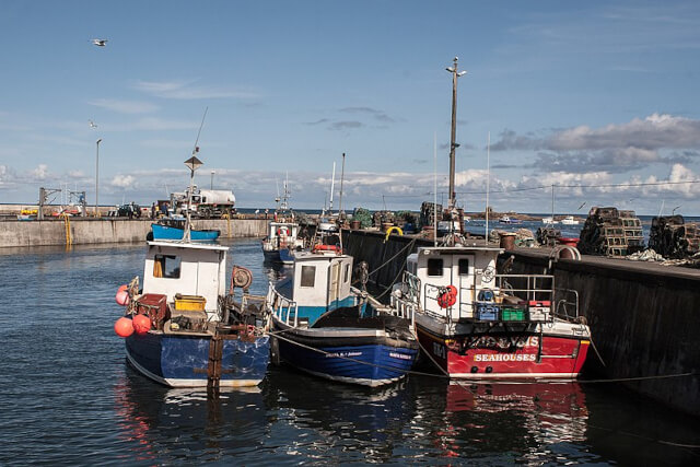 Fishing boats floating in the harbour in Seahouses