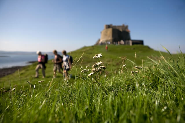 A group of people walking through the grass with a blurry image of Lindisfarne Castle in the background