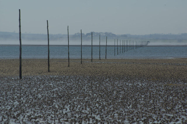 The tide rising against the vertical poles of The Pilgrims Way 